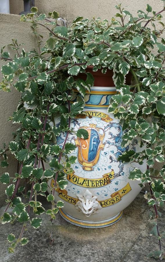 B&B Le Torri Di Firenze フィエーゾレ エクステリア 写真